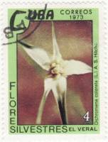 (1973-074) Марка Куба "Очеретник красивый"    Полевые цветы II Θ
